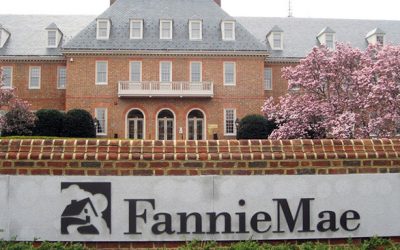 What Or Who Are Fannie And Freddie, Anyway?